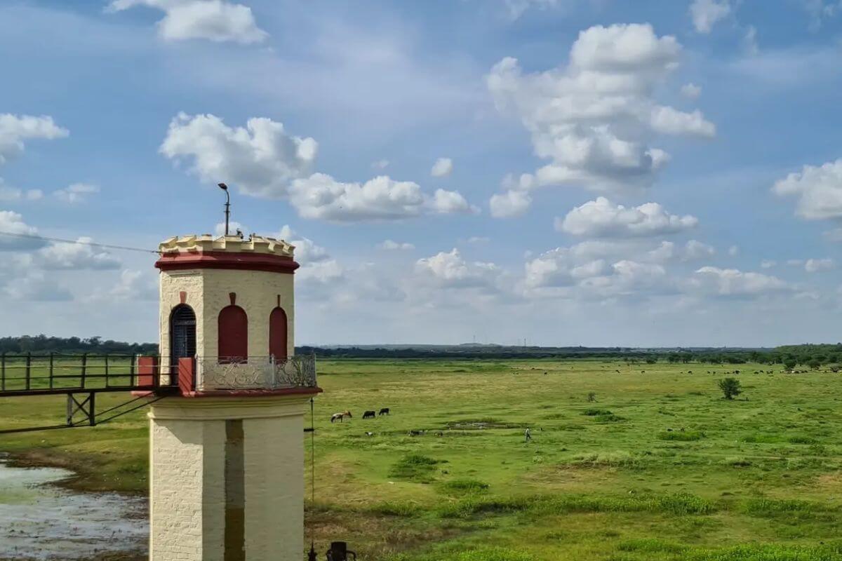 Hesaraghatta Lake
