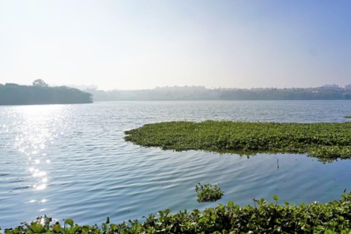 Madiwala Lake